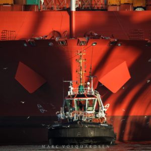 Container-Riesen und Schlepper