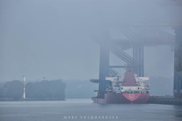 Anlieferung im Nebel - 3 neue Containerbrücken für den Buchardkai. 